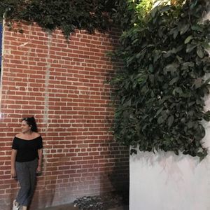 Meet your Posher, Paige